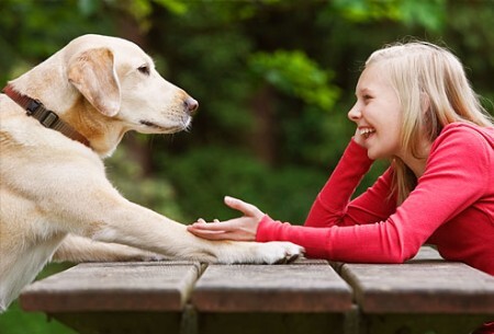 Tecnologia promete traduzir pensamentos de cachorro para o inglês