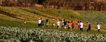 Visitantes passeiam pela fazenda orgânica