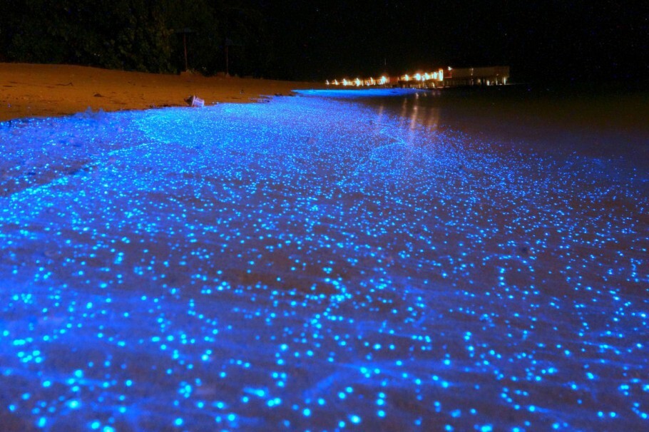 Fitoplânctons bioluminescentes transformam praia em ‘céu estrelado’ nas Maldivas