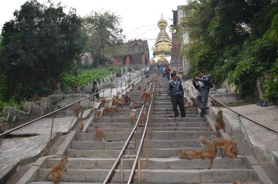 Click aqui para ver mais fotos do Templo de Swayambhunath