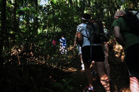 Série trará nove trajetos de trilhas na Floresta da Tijuca