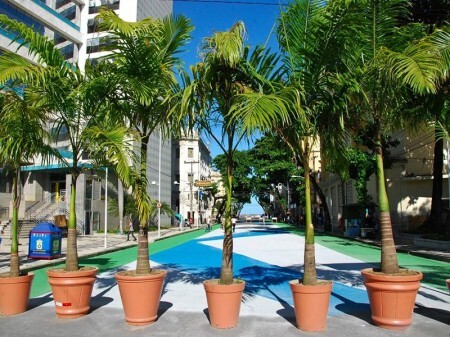 Em primeira etapa do projeto, Passeio Rio Branco já recebeu demarcação, pintura diferenciada e palmeiras