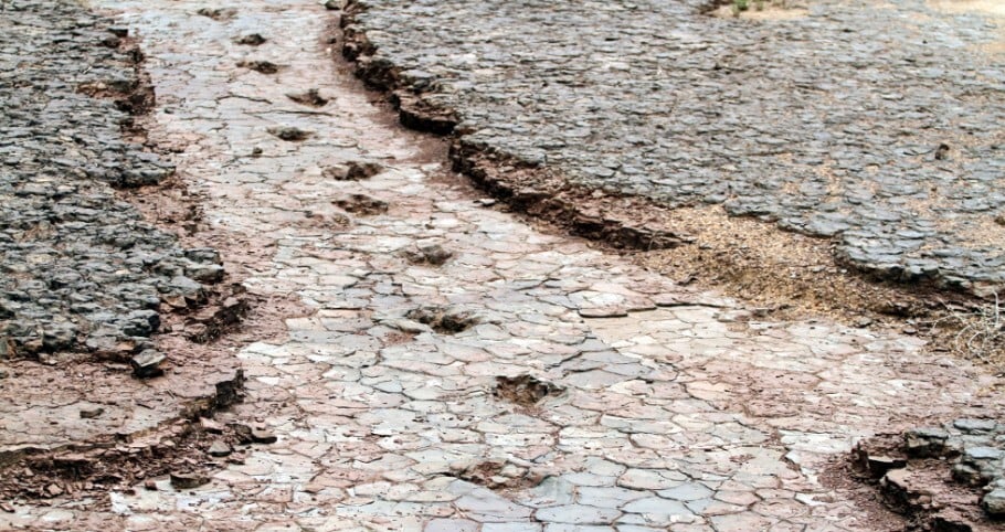 Pegadas fossilizadas de dinossauros que viveram há 110 milhões de anos