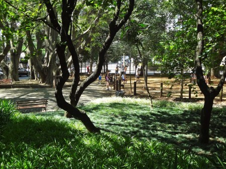 A equipe do site visita os parques e praças, avaliando sua infraestrutura e registrando o ambiente.