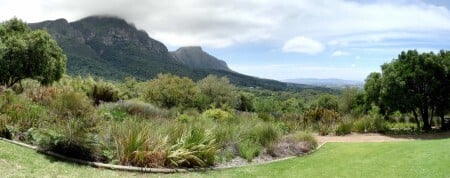Kirstenbosch National Botanical Garden (Cidade do Cabo, África do Sul)