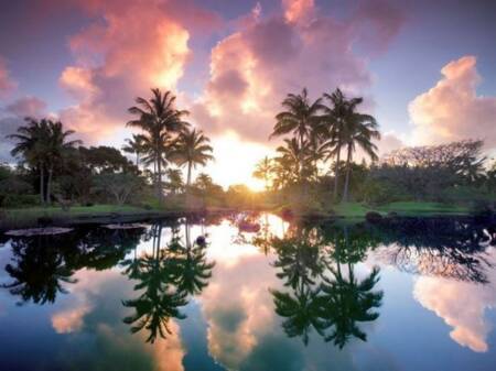 Na’Aina Kai Botanical Garden (Kauai, Havaí)