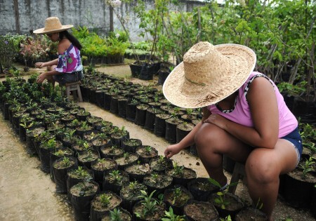 O objetivo é recuperar as mulheres em situação de prisão com uma atividade “terapêutica”: a jardinagem.