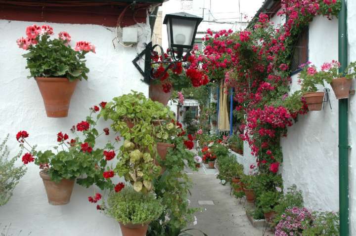 Pátios floridos de Córdoba, no sul da Espanha