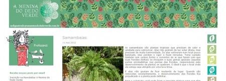 Blog dá dicas sobre cuidados com plantas e dicas de jardinagem, paisagismo, botânica e outras sugestões.