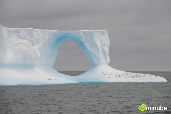 Veja mais fotos da Antártida