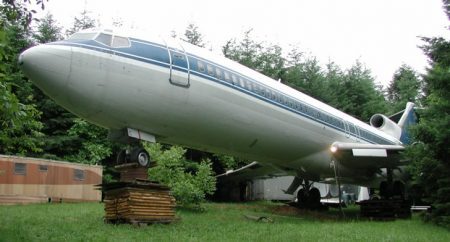 Avião foi estacionado em uma floresta