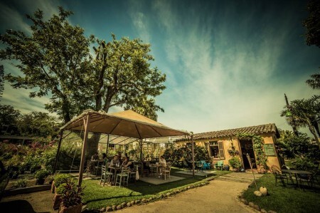 Cafeteria fica dentro de uma floricultura, na Zona Sul