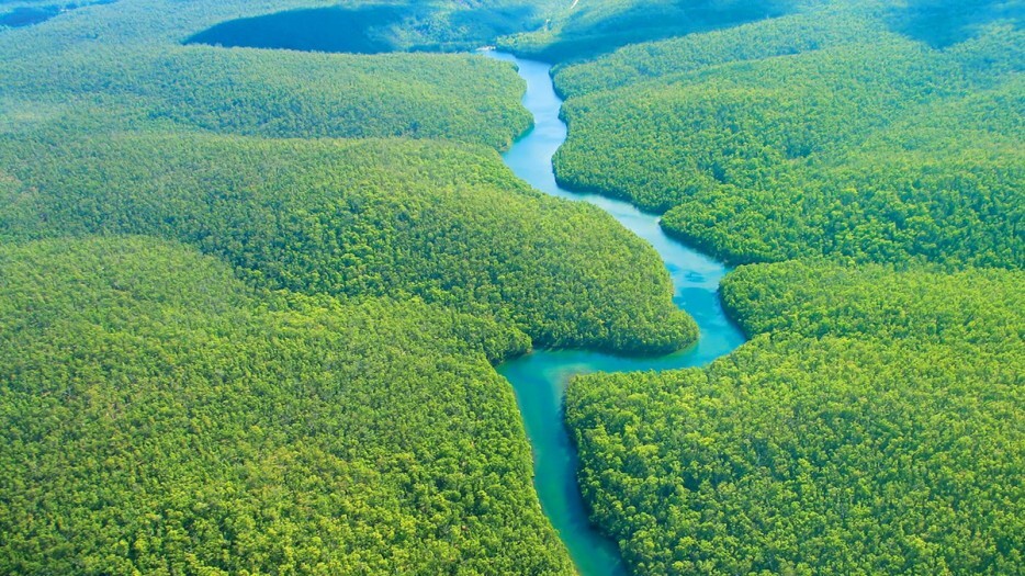Floresta Amazônica