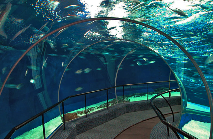Shanghai-Ocean-Aquarium