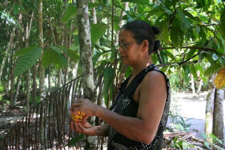 wp-image-684551 size-full