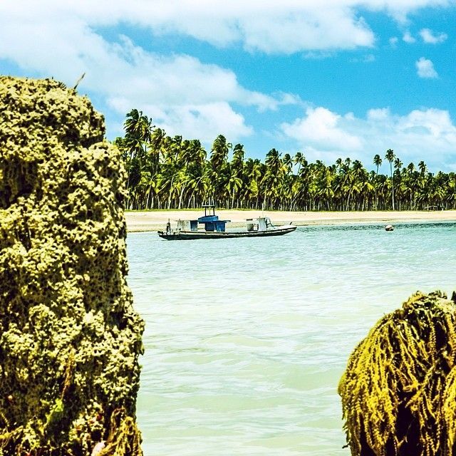 São Miguel dos Milagres tem mar de águas mornas, cristalinas e sem ondas, com os recifes característicos da Costa dos Corais