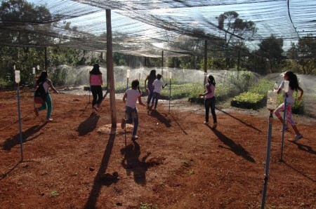 Viveiro com irrigação feita de garrafas PET