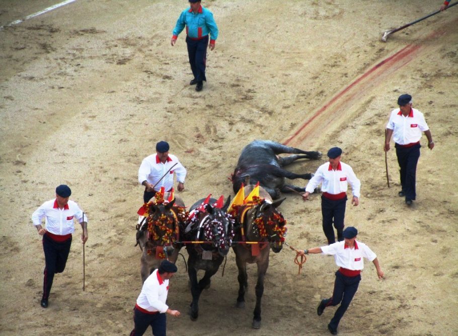 (Foto: Felipe Franco). Um dos momentos mais aplaudidos pelo público