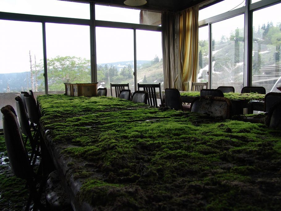 Um hotel abandonado é lentamente recuperado pela natureza. [Japão]