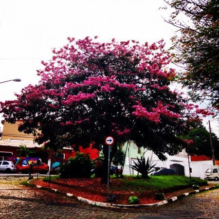 Há tempos o Catraca Livre tenta adotar a praça que fica em frente à redação. Talvez agora seja mais fácil.