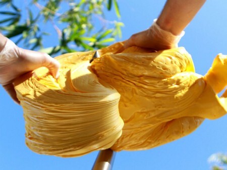 Lounge da Bienal de São Paulo recebe “Move! Plasticity”, com instalações interativas