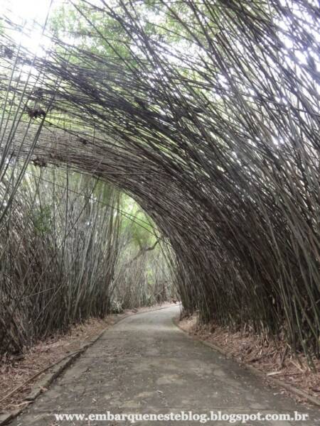 aligncenter size-full wp-image-779041