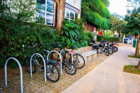 Bicicletas e plantas: calçada é exemplo de qualidade urbana na região central