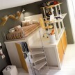 quarto11