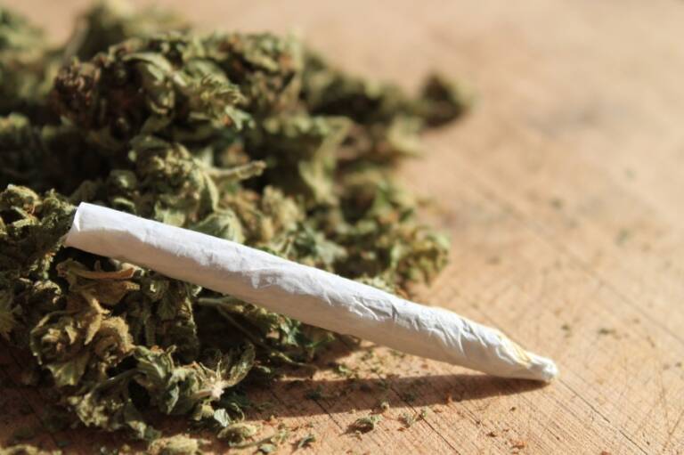 Consumo de maconha junto com álcool eleva níveis de THC no sangue