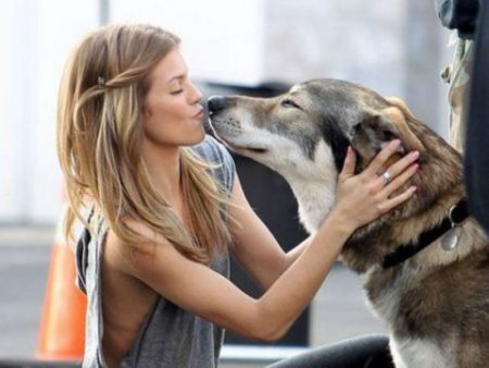 O objetivo é conscientizar sobre a necessidade dos cuidados com o bem-estar de animais de estimação que refletem na saúde das famílias