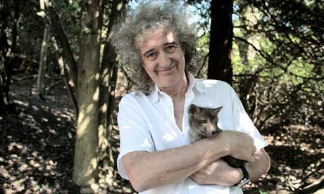 Brian May fundou um grupo para ajudar os animais, o Save Me