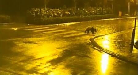 As imagens foram flagradas na madrugada desta quinta-feira