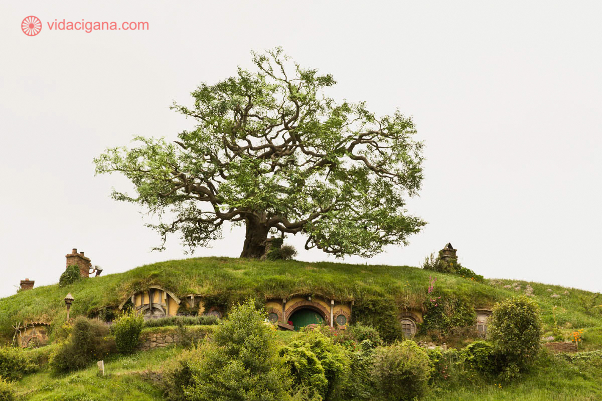 Desde 2001, a Nova Zelândia é conhecida como a Terra Média não ficcional