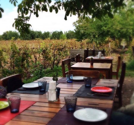 A Bodega Cecchin está aberta para visitação e degustações