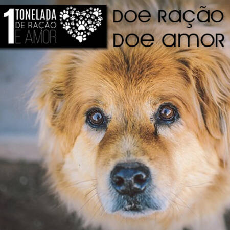 Uma Tonelada de Ração e Amor
