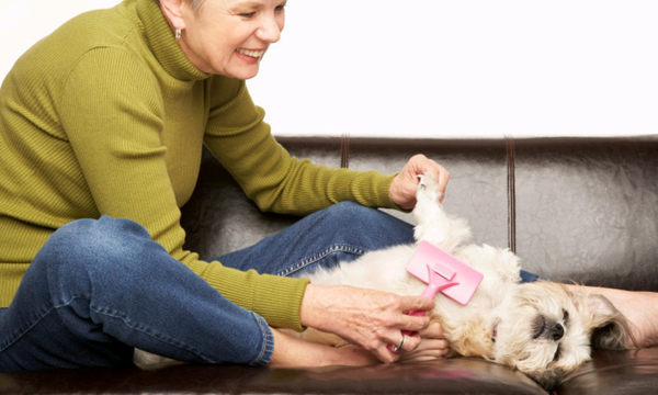 Foto: Reprodução/Google