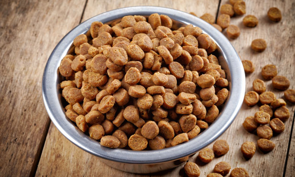 Foto: Reprodução/Google