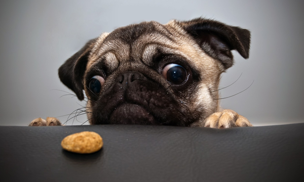 Foto: Reprodução/Google