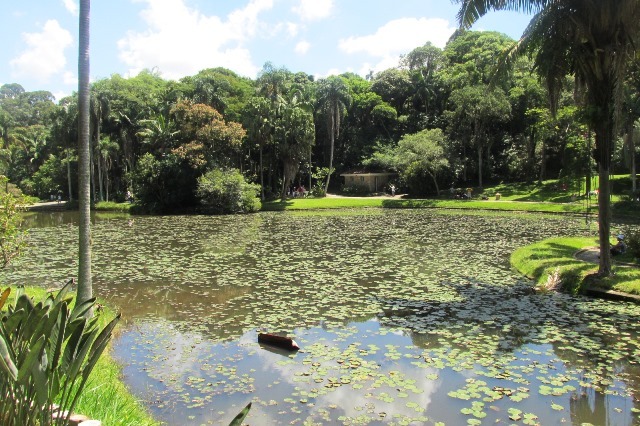 Lago do Jardim Botânico