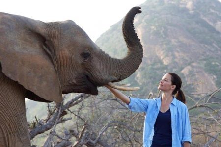 Atriz idealizou documentário que aborda as dificuldades de elefantes africanos