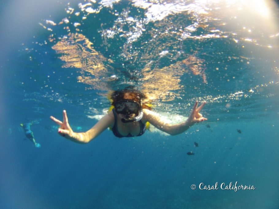 Praticando snorkeling em Molokini