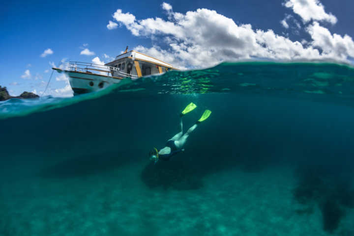 Fernando de Noronha é considerado um dos melhores lugares do mundo para mergulhar