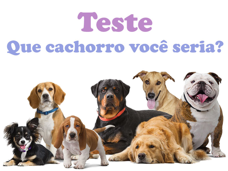 Que animal você seria ?