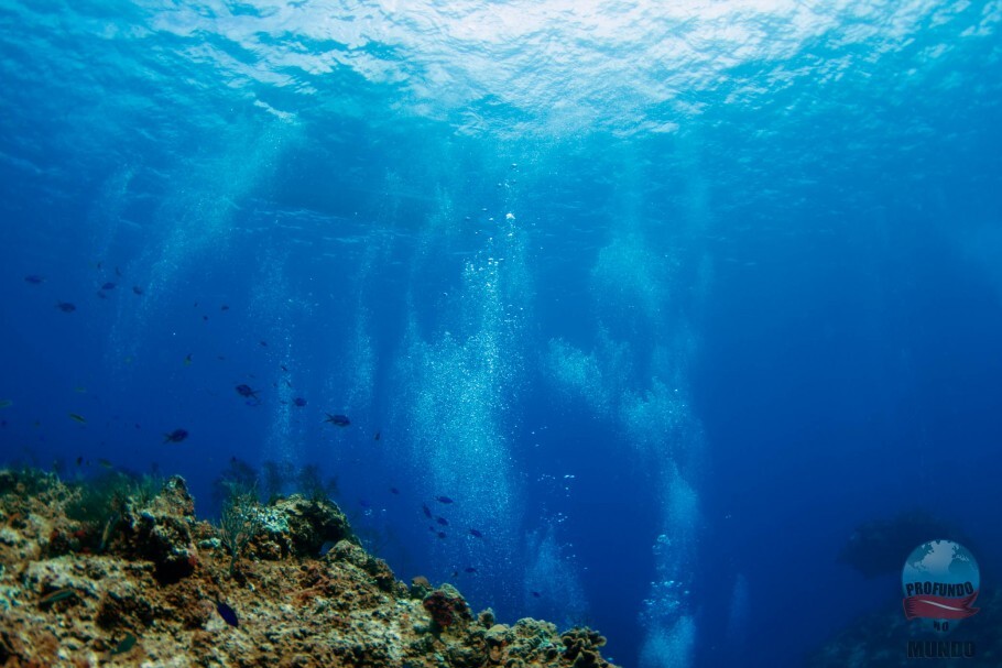 Profundo no Mundo: arrecifes Santa Rosa, em Cozumel.