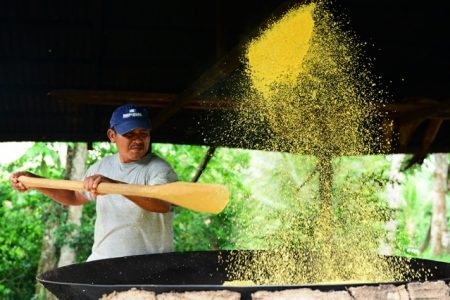 Comunidade indígena do Bananal na produção da paçoca