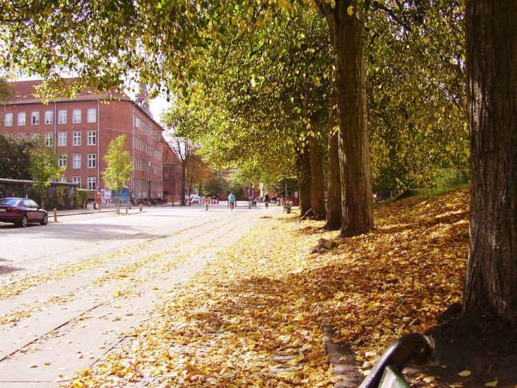 Bairro Norrebro | Foto: Double Feature (via Flickr)