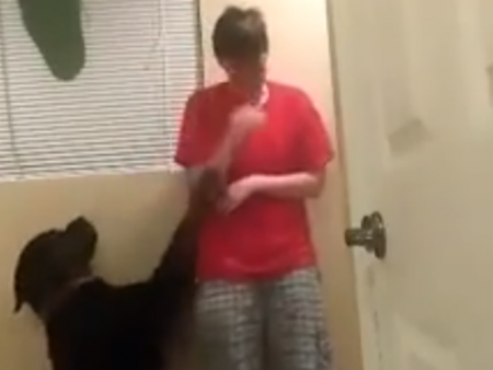 Cachorro tenta amparar garota com autismo
