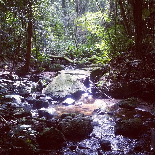 Núcleo Engordador, no Parque da Cantareira