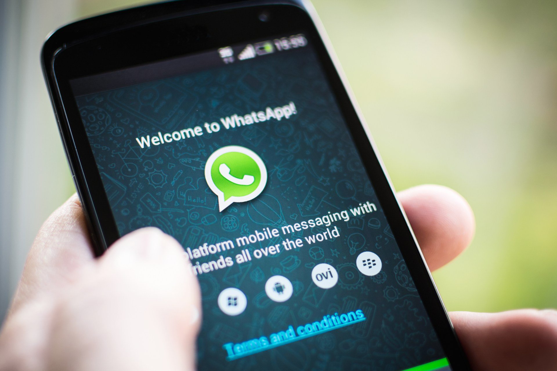WhatsApp: Como criar, buscar e enviar GIFs animados pelo