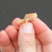 A característica ausência completa ou parcial o pigmento na pele, unhas, cabelos e olhos resultam muitas vezes em belezas exóticas (Imagem: Reprodução/Buzz Feed)